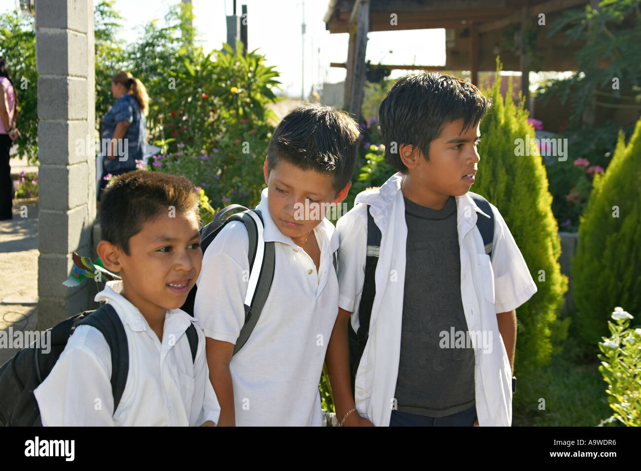 MEXICO La Paz Three Mexican school boys in school uniforms with backpacks white shirts walk home as group in neighborhood Stock Photo