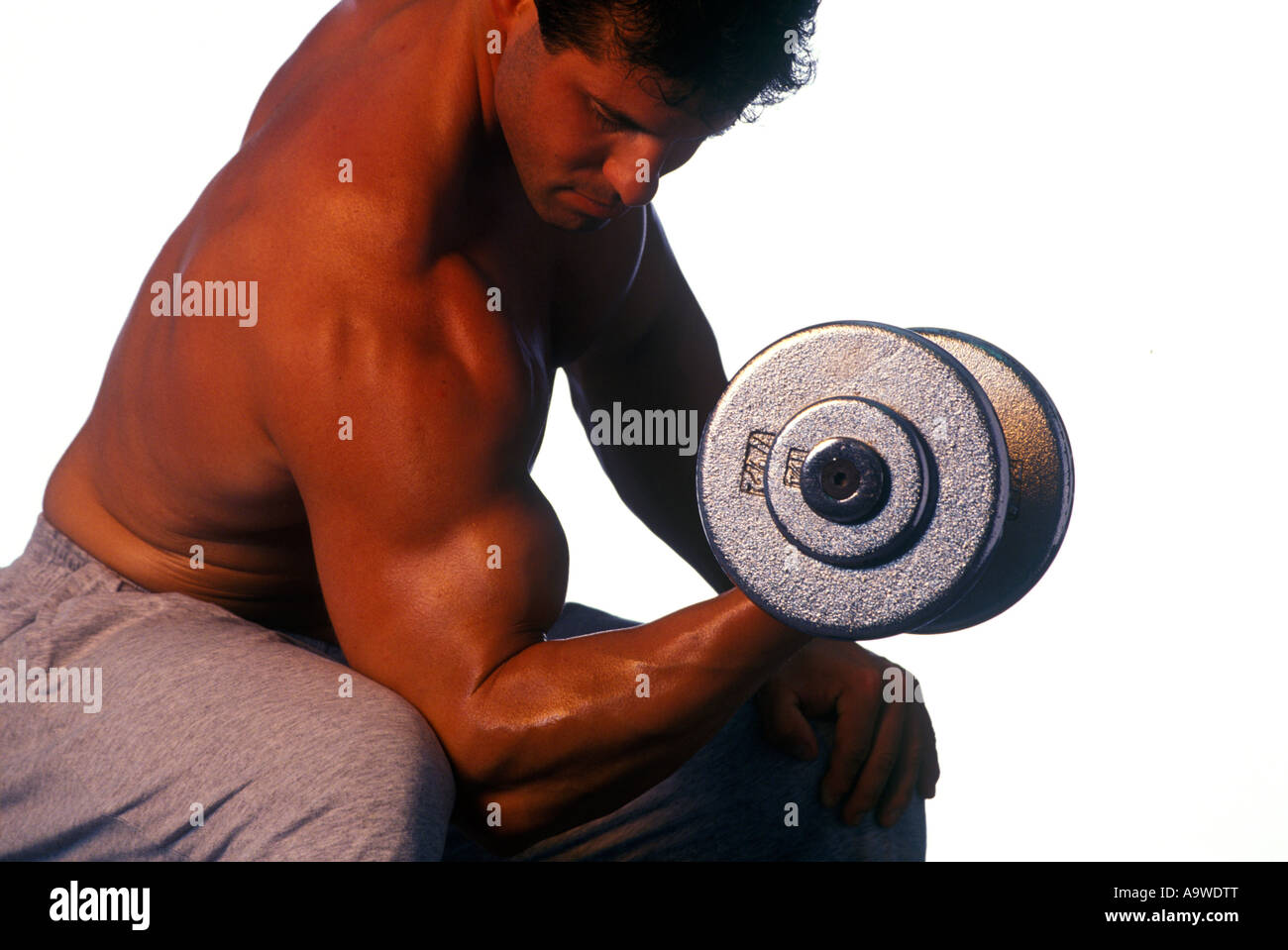 GYM MALE WEIGHT LIFTER FLEXES ARM MUSCLES LIFTING WEIGHTS Stock Photo
