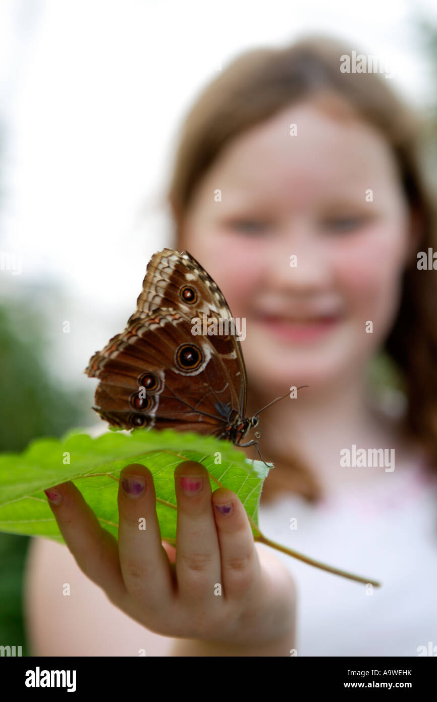 Girl holding big butterfly on leaf, Symonds Yat, Wye Valley, England. Stock Photo