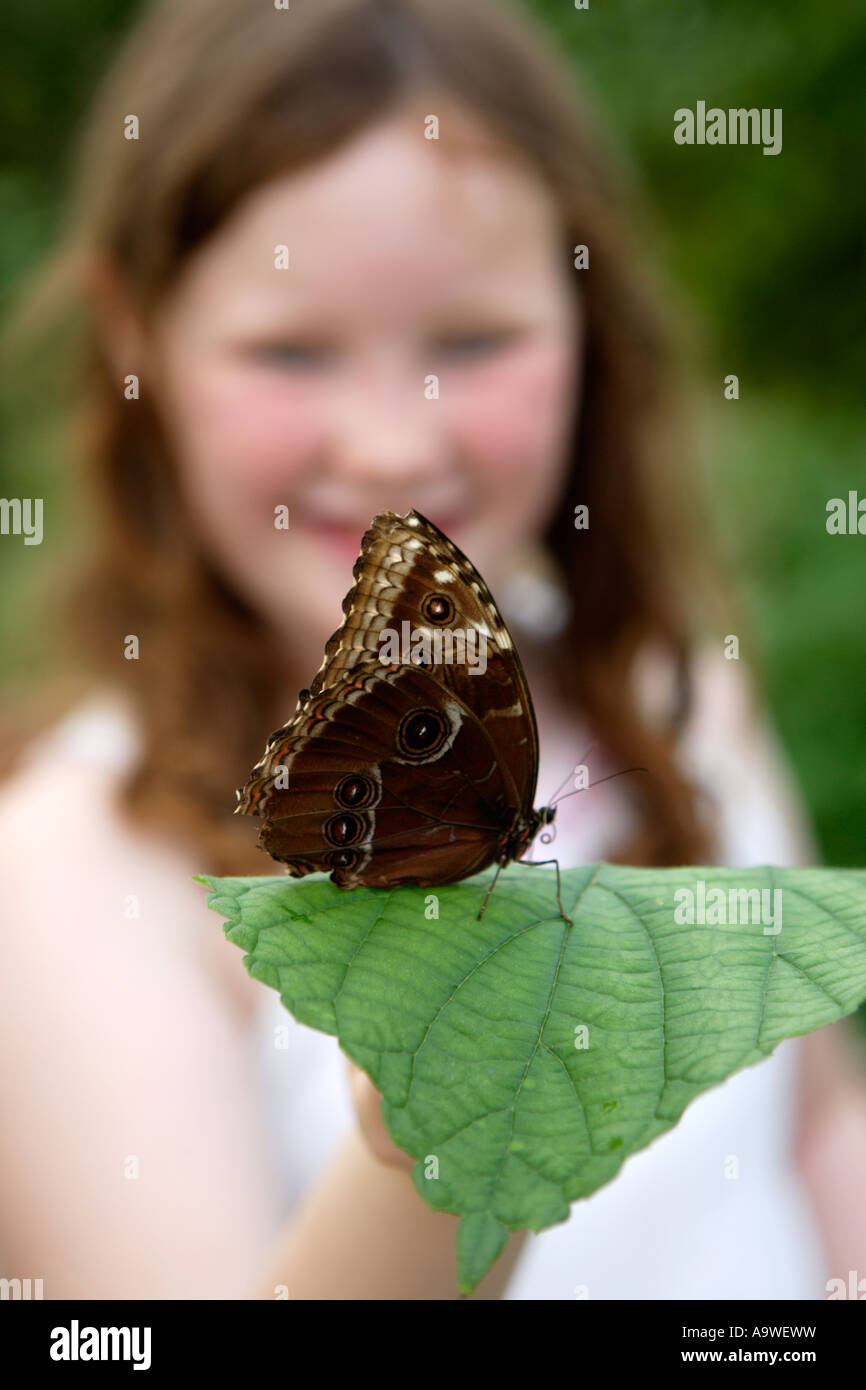 Girl holding big butterfly on leaf, Symonds Yat, Wye Valley, England. Stock Photo