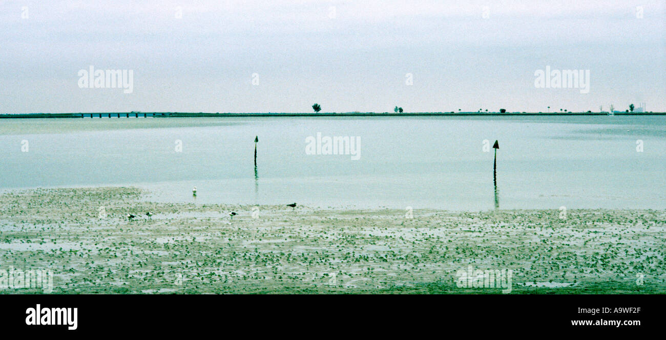 Tide's Out in Tampa Bay at Safety Harbour, Florida Stock Photo Alamy