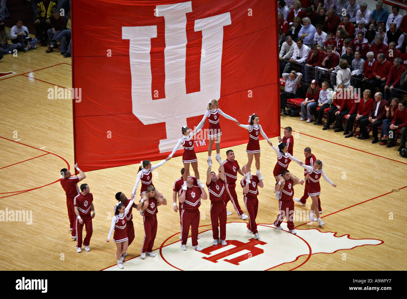 Download Indiana University Bloomington Logo Wallpaper  Wallpaperscom