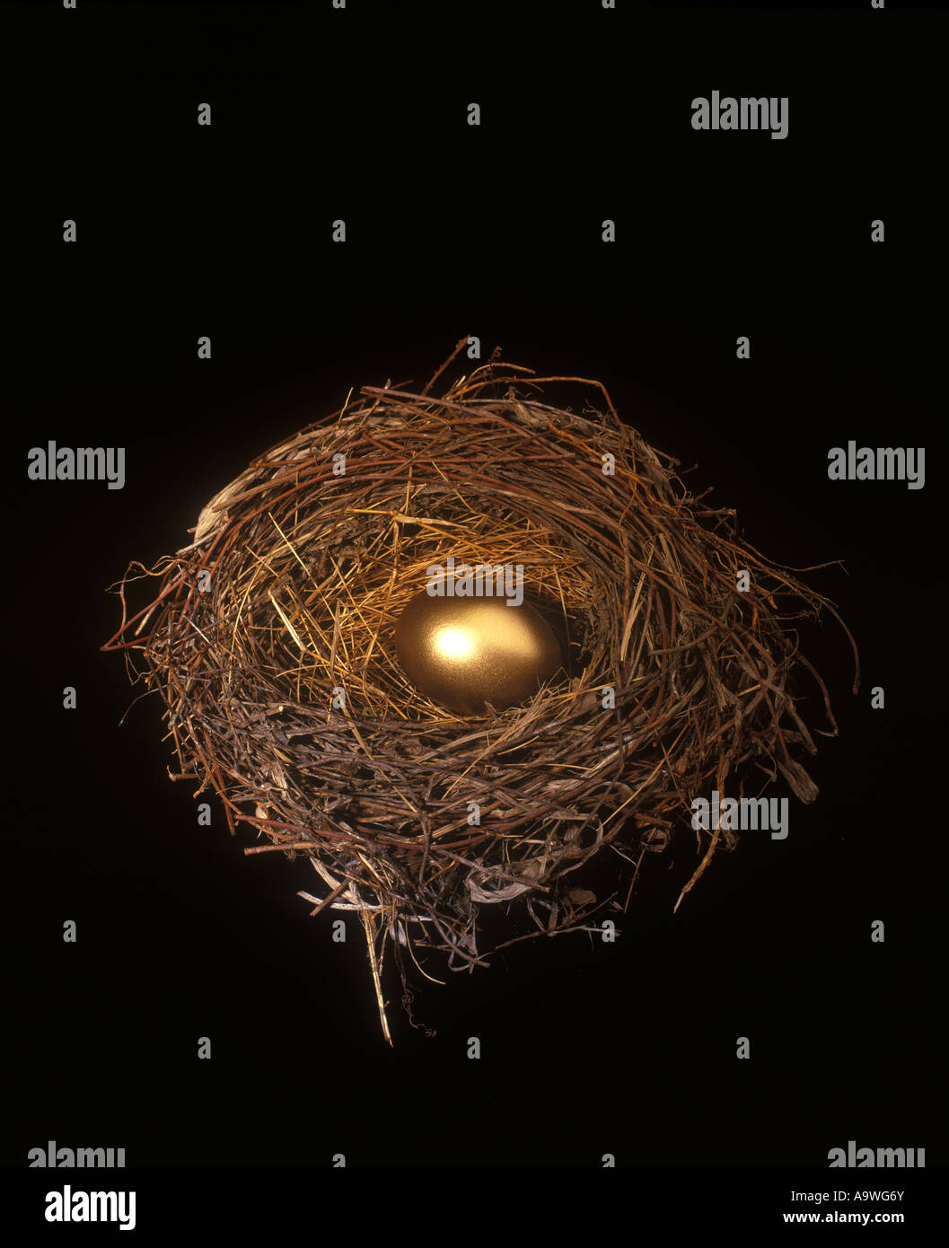 GOLDEN EGG IN NEST IN BLACK BACKGROUND Stock Photo - Alamy