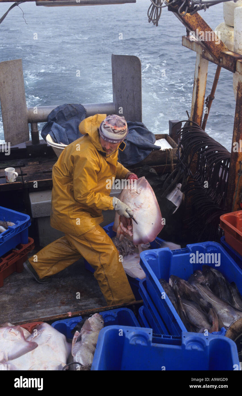Lowestoft fishing boat hires stock photography and images Alamy
