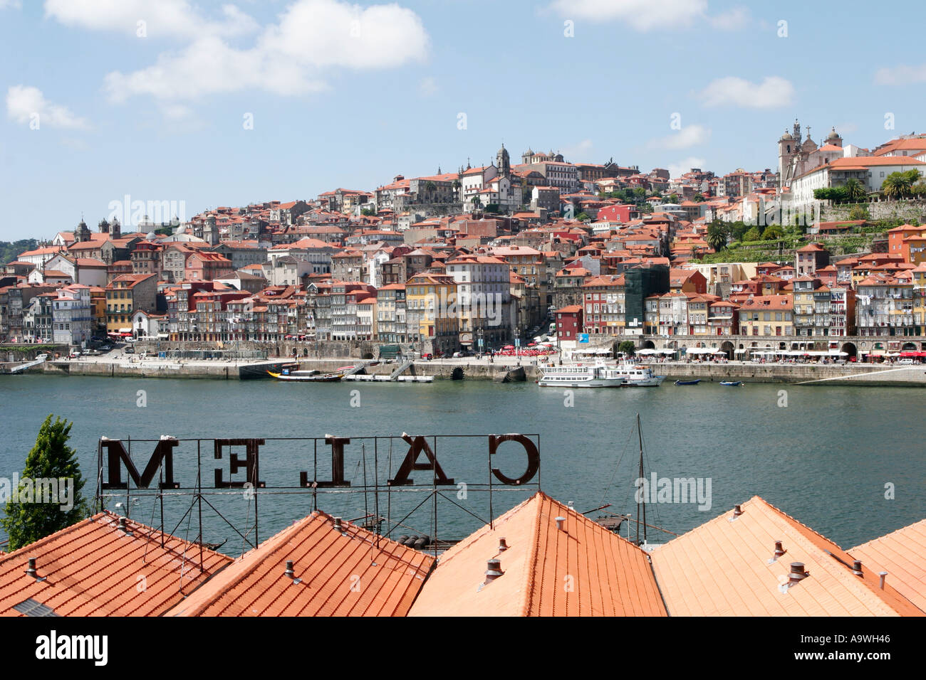 Calem port house by the River Douro in Porto Portugal Stock Photo - Alamy