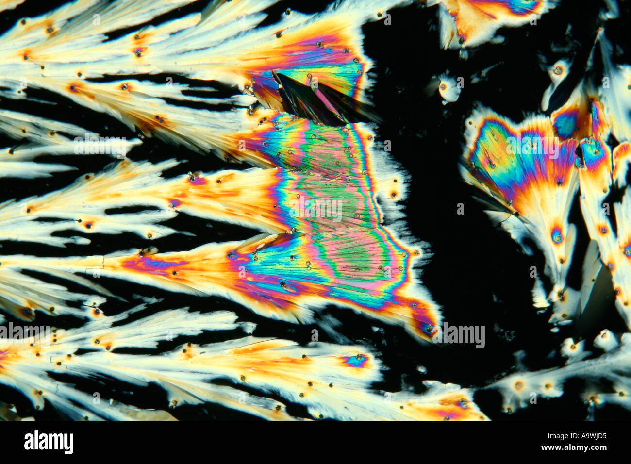 Tylenol Aspirin crystals cross polarized photomicrograph Stock Photo