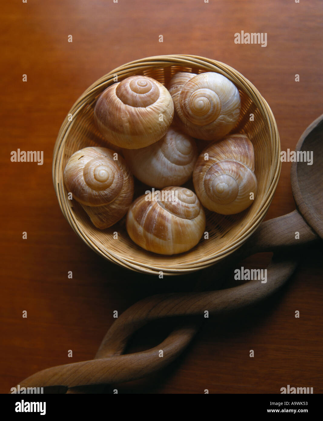Edible snails Helix sp Snail shells in basket still life Stock Photo