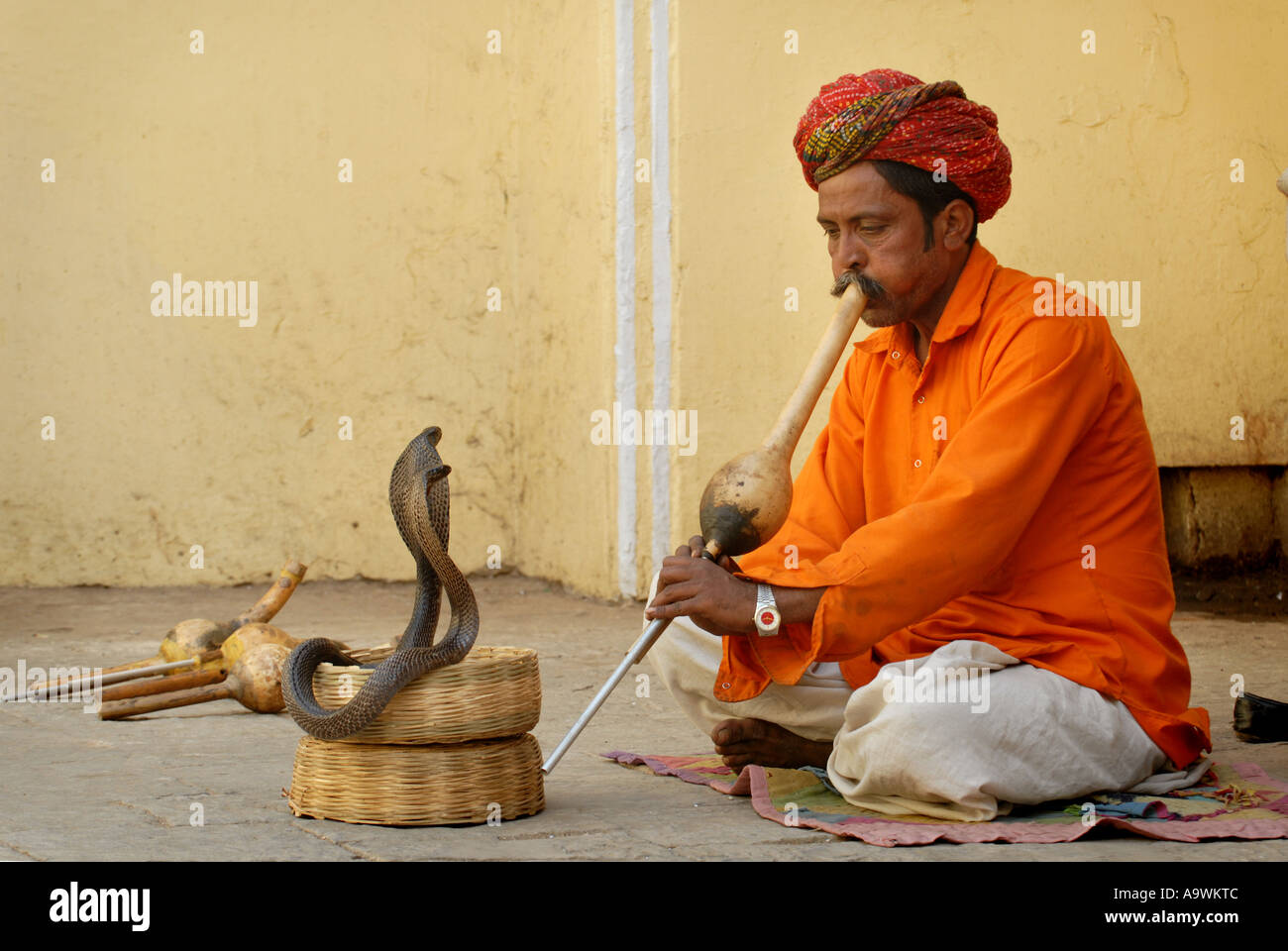 Snake charmer inside the City Palace Museum Jaipur the pink city Rajasthan  India Stock Photo - Alamy