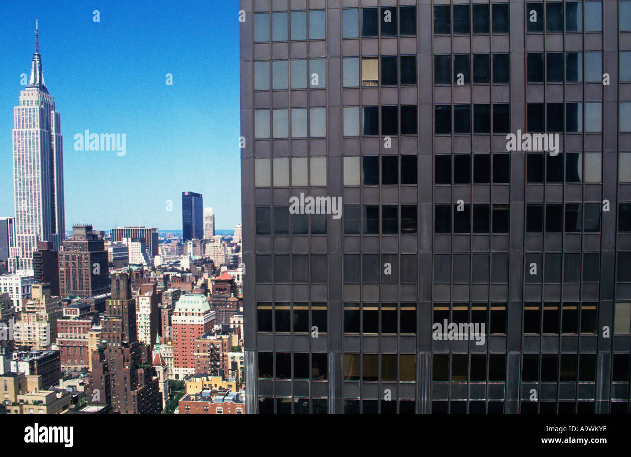 USA New York City Midtown Manhattan Fifth Avenue The Empire State ...