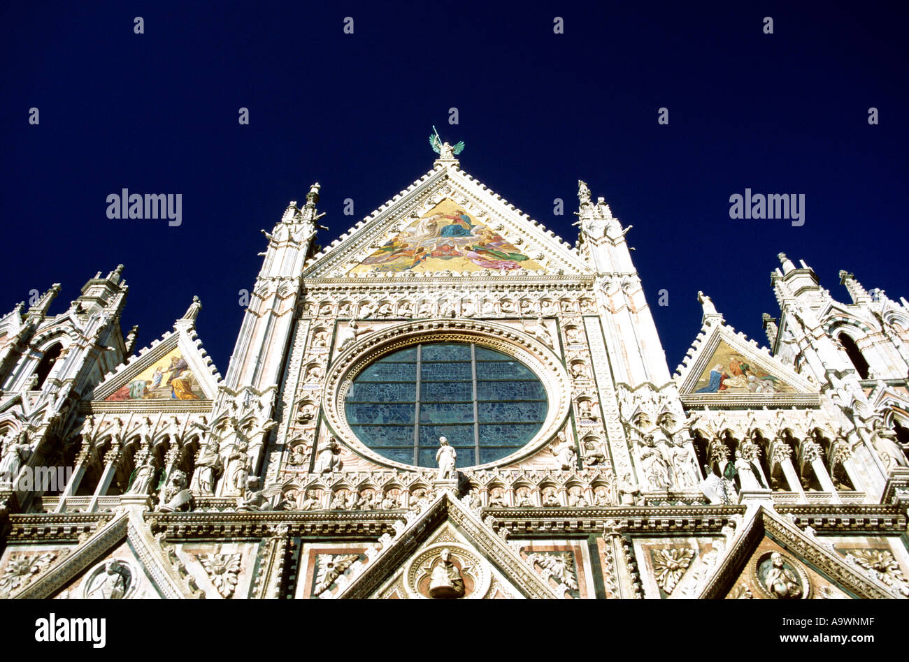 Tuscany, Siena, facade of Duomo cathedral, low angle view Stock Photo