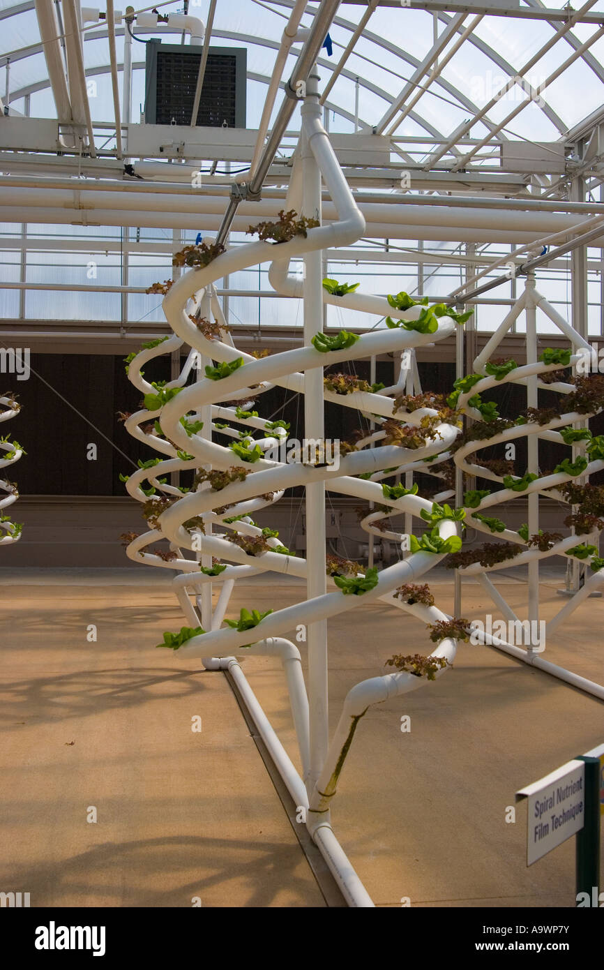NASA experimental crops, Epcot Center, Orlando, Florida Stock Photo