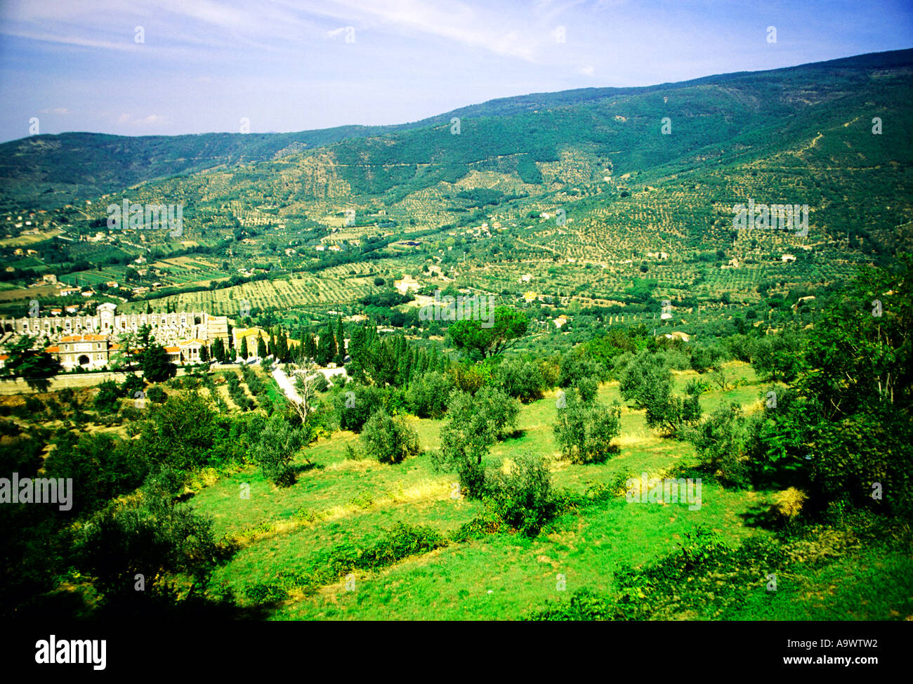 Italy, Tuscany, vineyards landscape with Cortona cemetery in background, elevated view Stock Photo