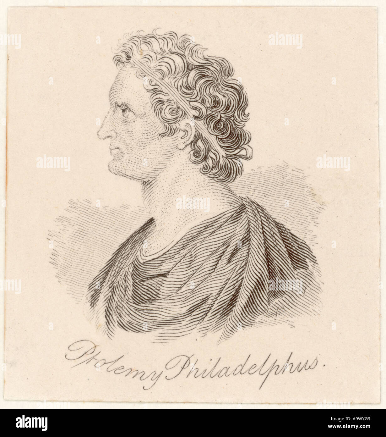Ptolemy Philadelphus Stock Photo