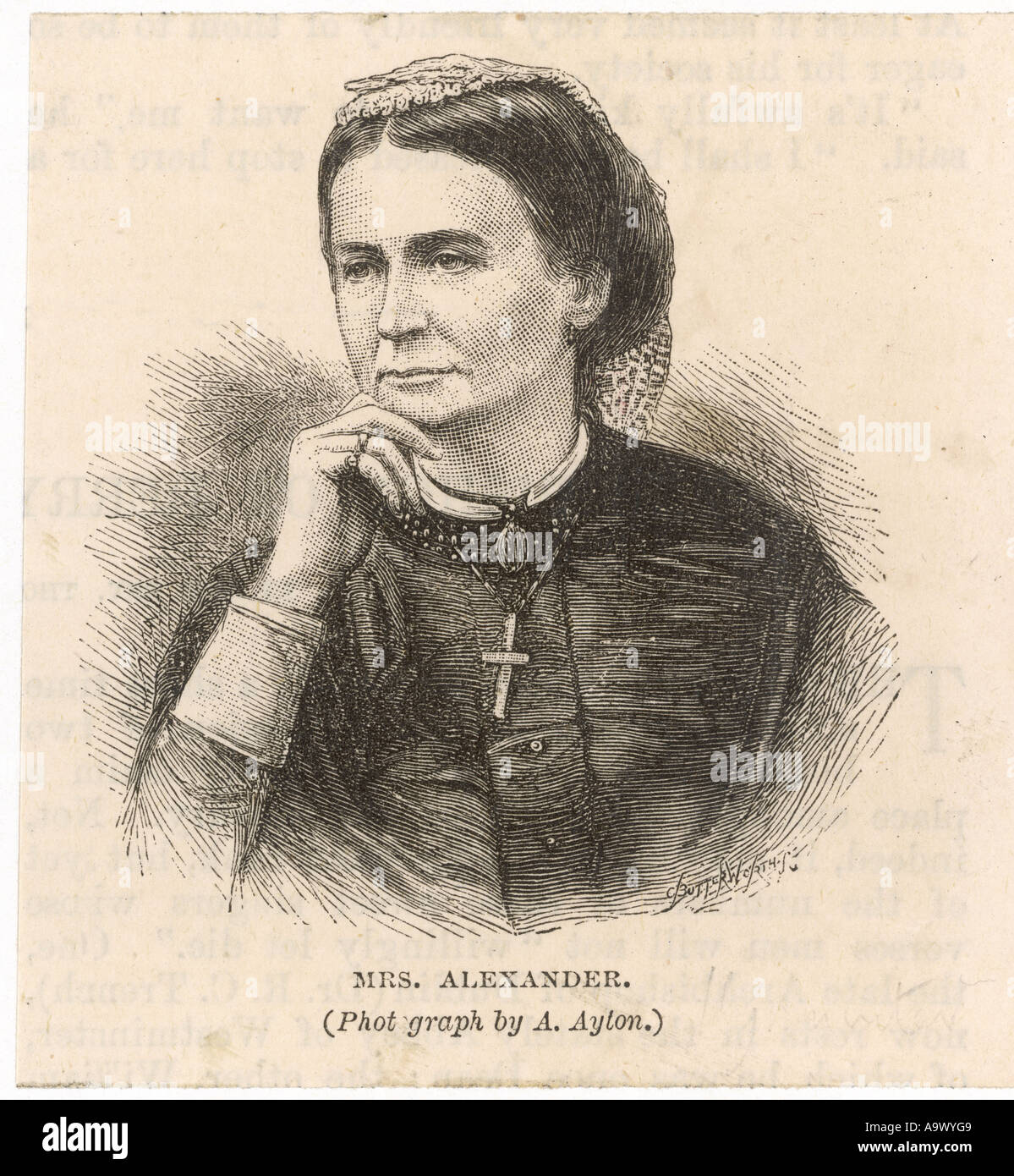 Mrs Alexander Stock Photo