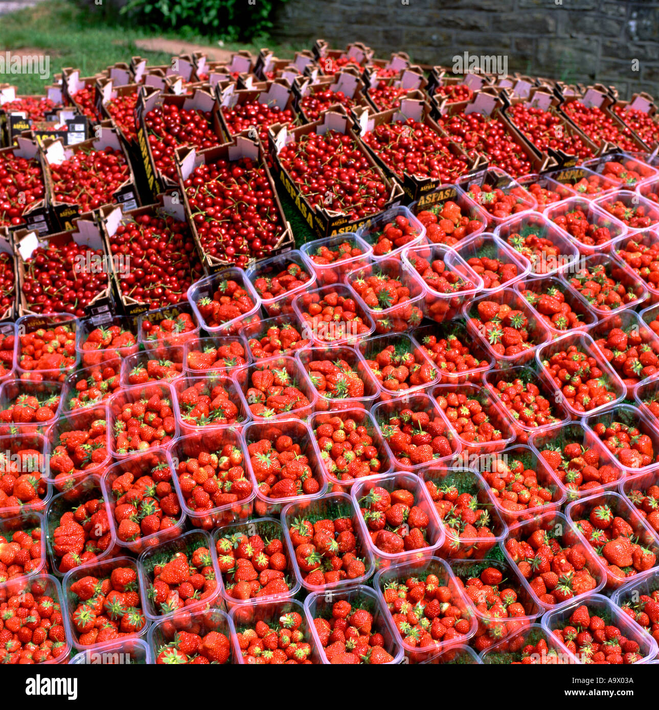 Strawberries and cherries grown in Kent for sale at the Hay Festival