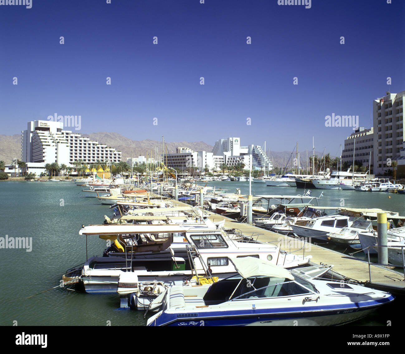 My Image 23