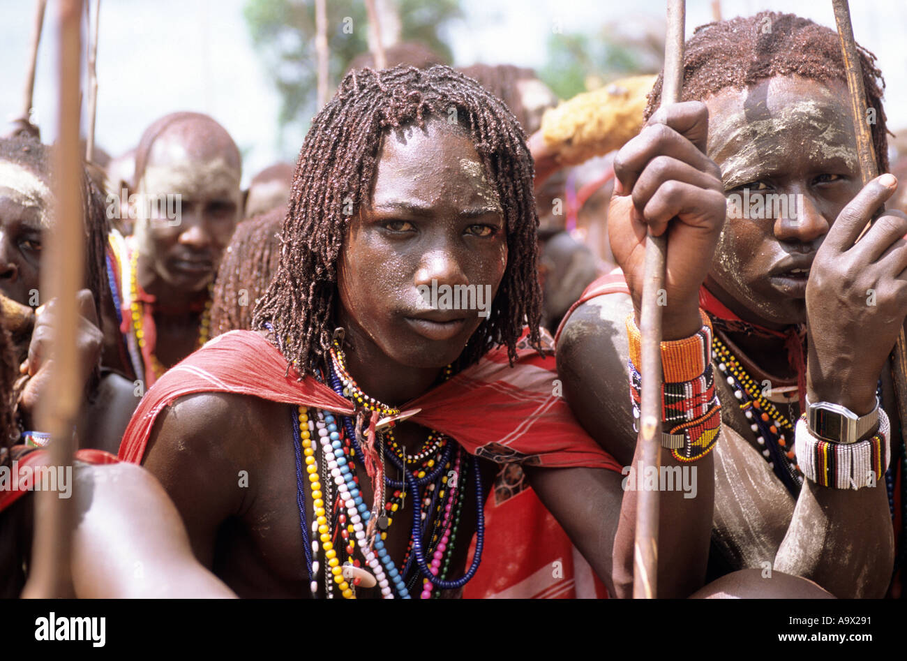 Lolgorian, Kenya. Siria Maasai; Eunoto ceremony; moran with white ochre body paint, bead adornments, braided hair. Stock Photo
