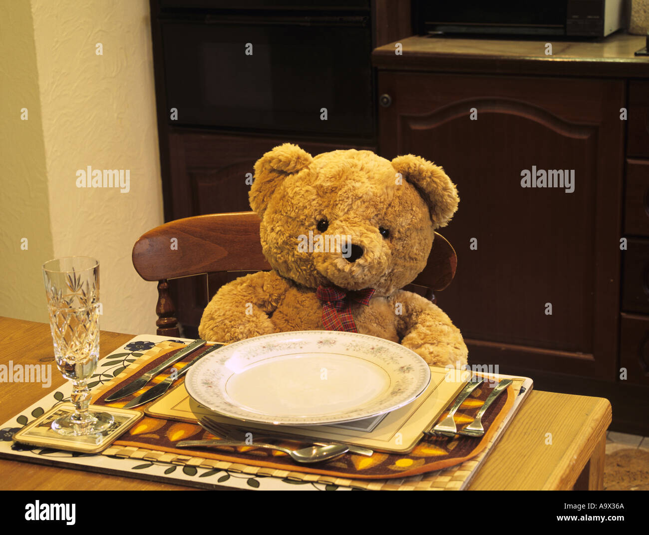 teddy bear kitchen