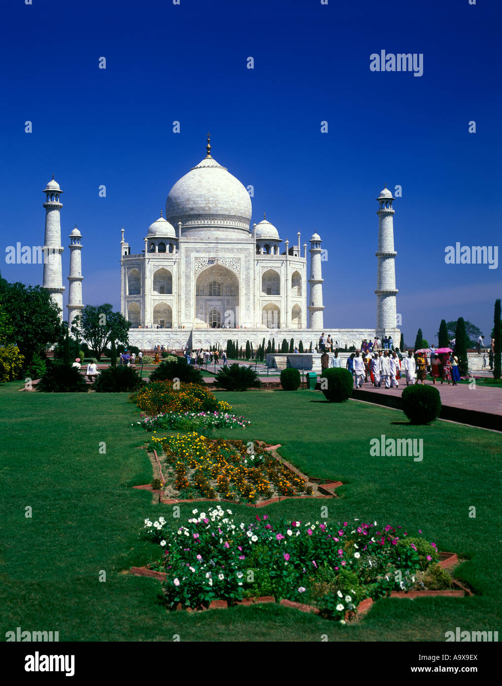 TAJ MAHAL GARDENS AGRA UTTAR PRADESH INDIA Stock Photo Alamy taj-mahal-gardens-agra-uttar-pradesh-india-stock-photo-alamy