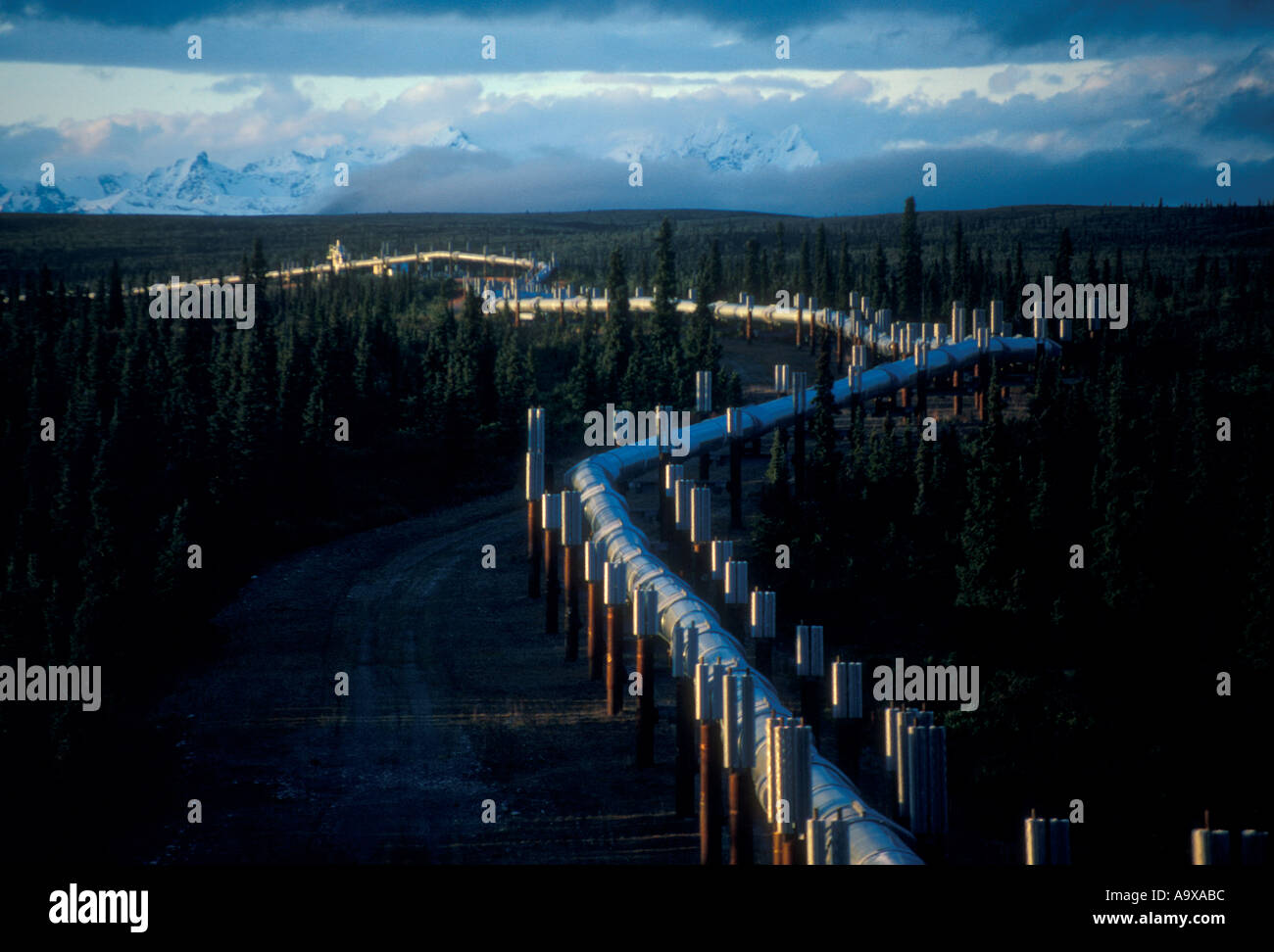 ALASKA PIPELINE, Near Paxson Alaska SEPTEMBER Stock Photo