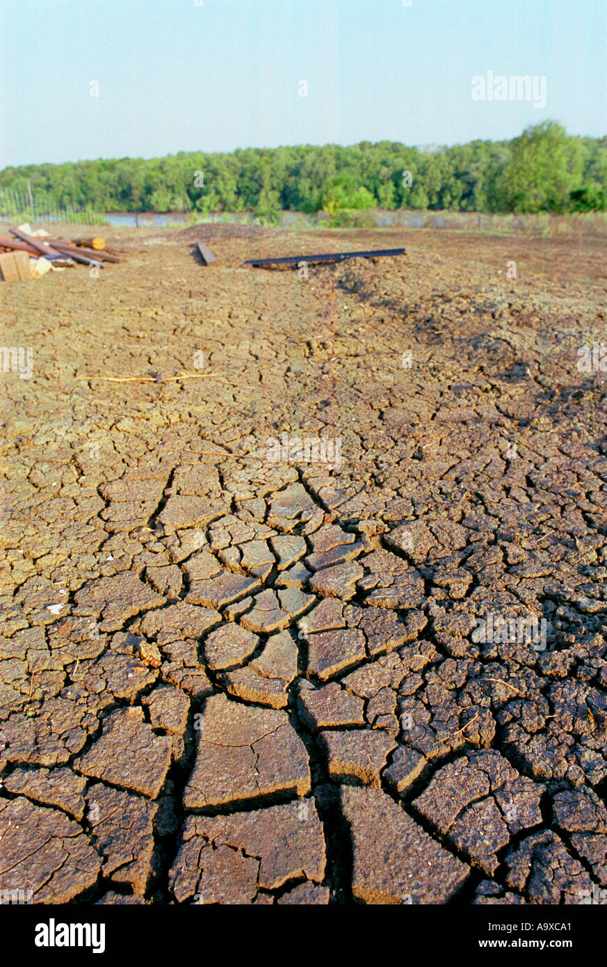 The soil cracks during the end of the dry season in Kakadu National