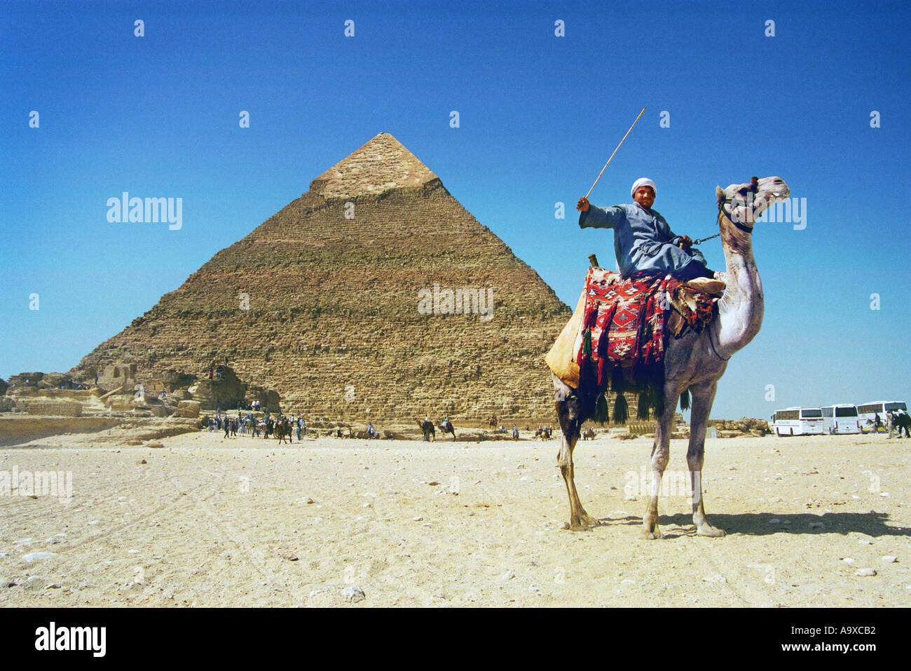 Camel owner in front of the Kephren pyramid in Giza Cairo trying to pursuaid tourists to ride his camel Stock Photo