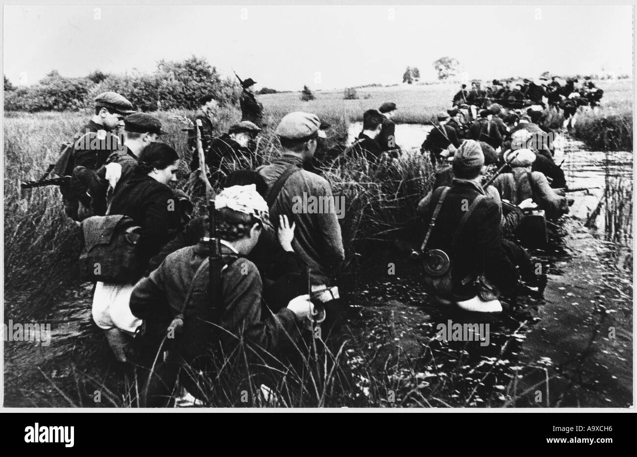 Partisans In Marshes Stock Photo