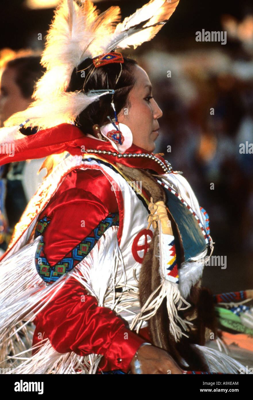 Dancer at Powpow, a traditional meeting of Northamerican Indians ...