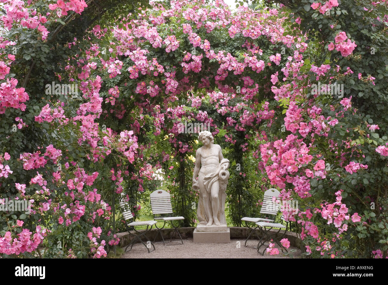 rose (Rosa spec.), Rose garden statue Bacchus in roses, Germany, Baden-Wuerttemberg, Rosenneuheiten Garten auf dem Beutig, Bade Stock Photo