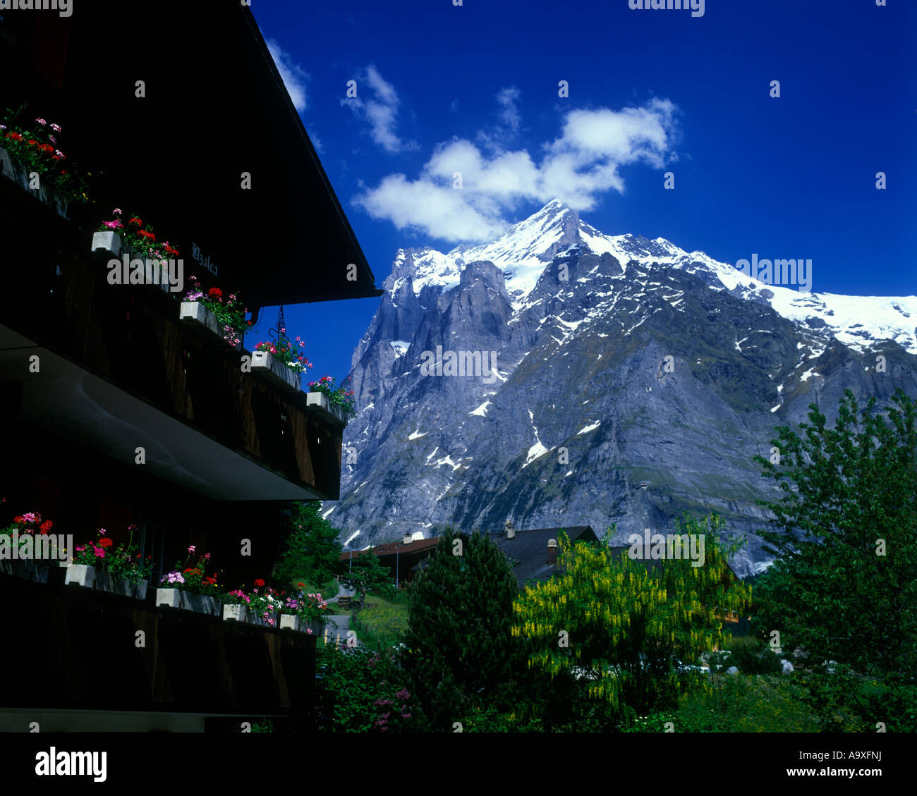 ALPINE CHALET GRINDELWALD WETTERHORN BERNER OBERLAND SWITZERLAND Stock ...