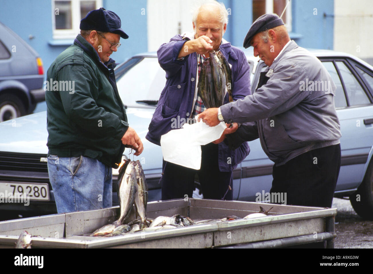 fish market in Torshavn, Denmark, Faeroeer Stock Photo Alamy