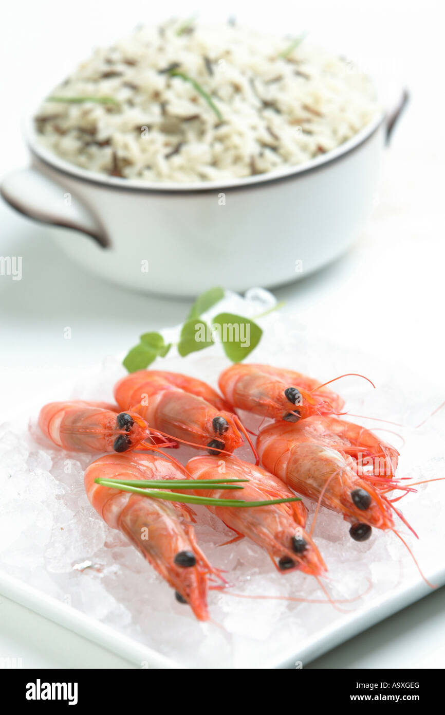 shrimps on ice Stock Photo