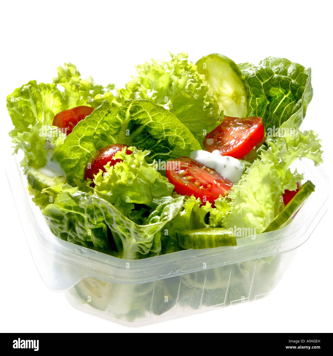 green mixed iceberg lettuce Stock Photo Alamy