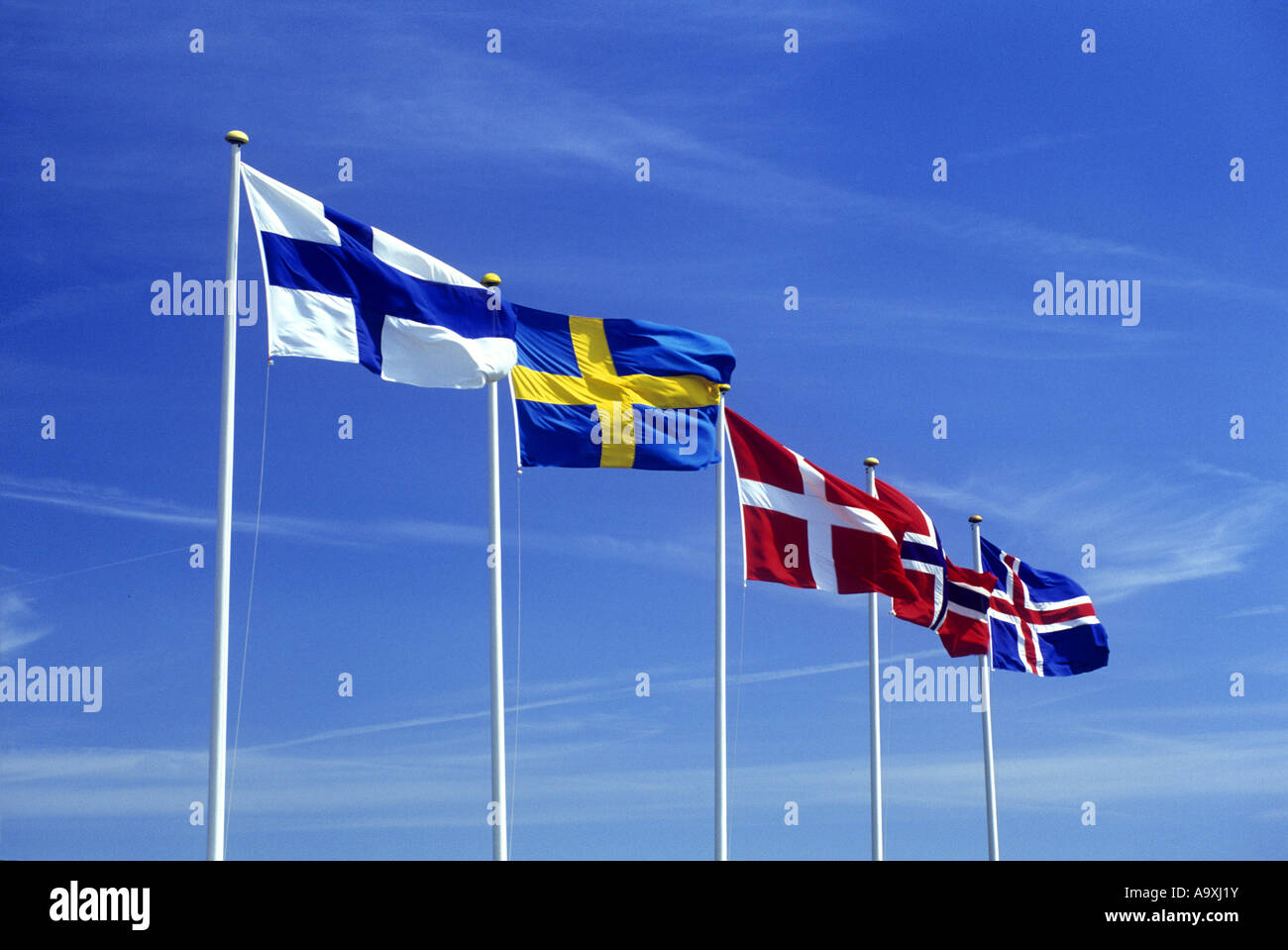 ROW OF SCANDINAVIAN FLAGS FLYING ON FLAG POLES FINLAND SWEDEN DENMARK NORWAY ICELAND Stock Photo
