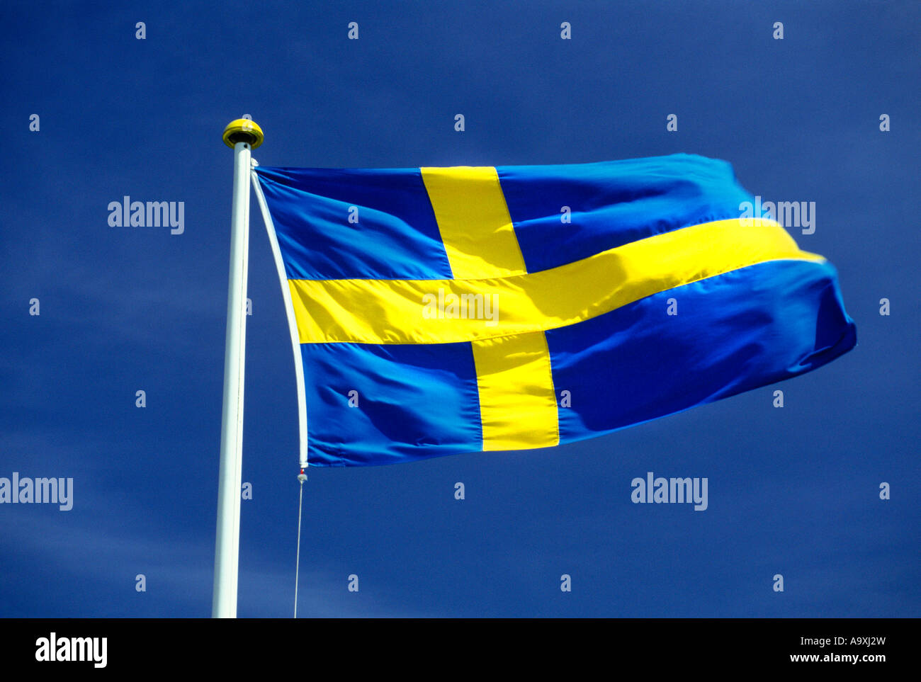 SINGLE FULL SWEDISH FLAG FLYING ON FLAGPOLE IN CLEAR BLUE SKY Stock Photo