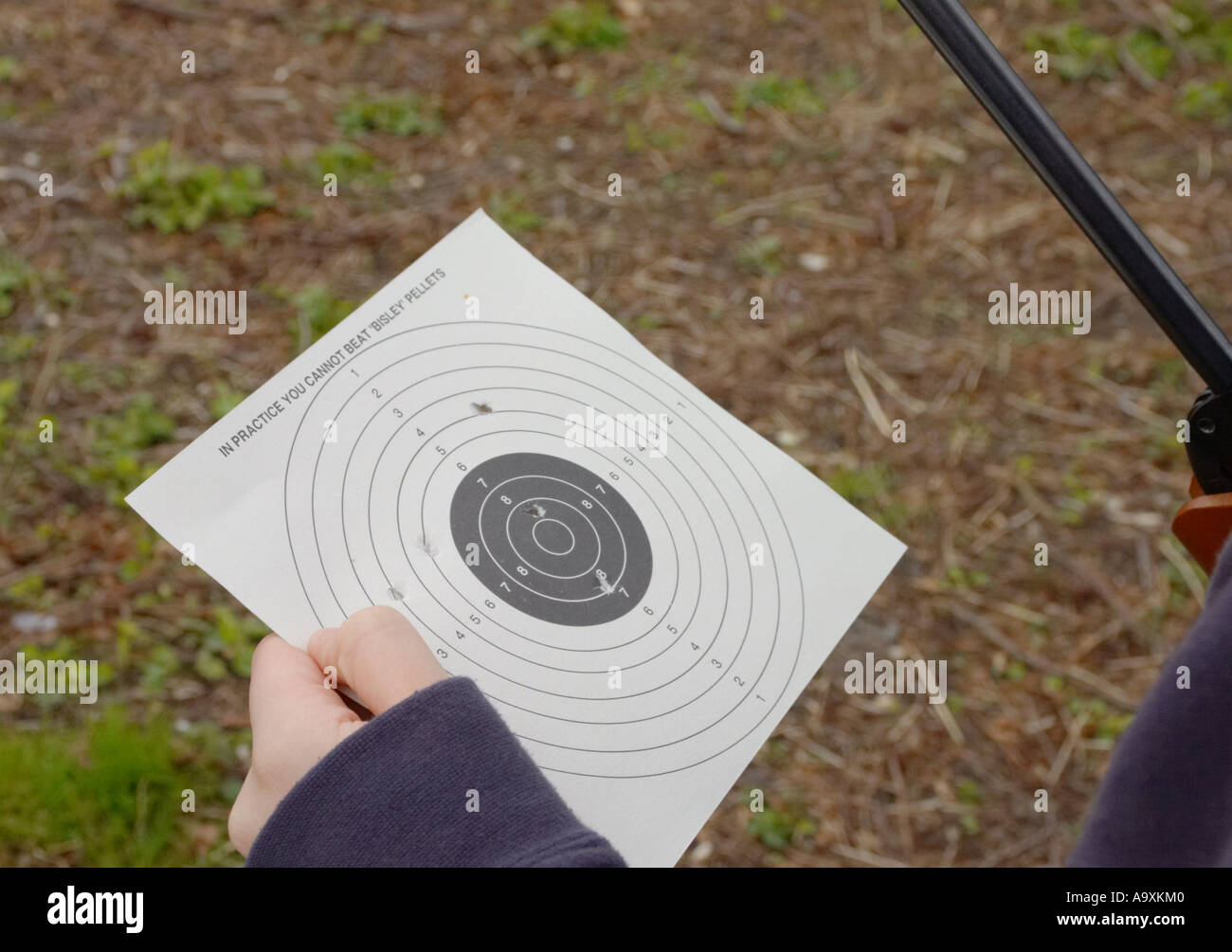 target for air rifle shooting practice being held in hand Stock