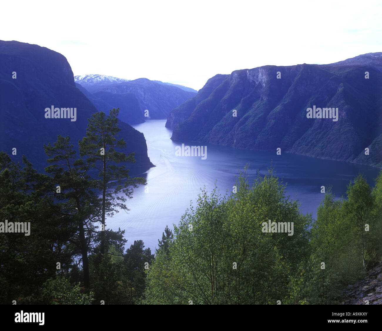 SCENIC AURLAND FJORD NORWAY Stock Photo
