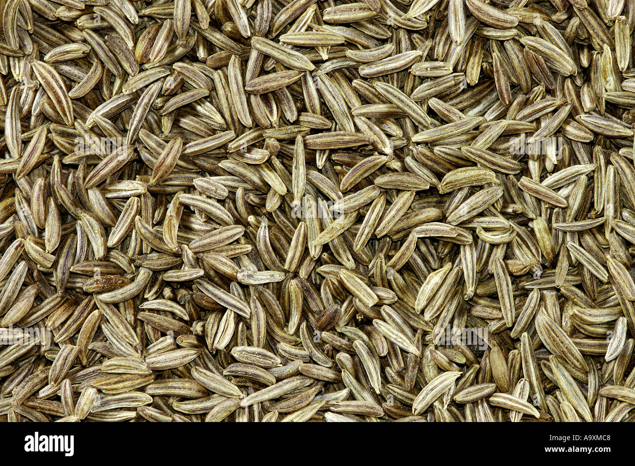 C Cyminum High Resolution Stock Photography and Images Alamy