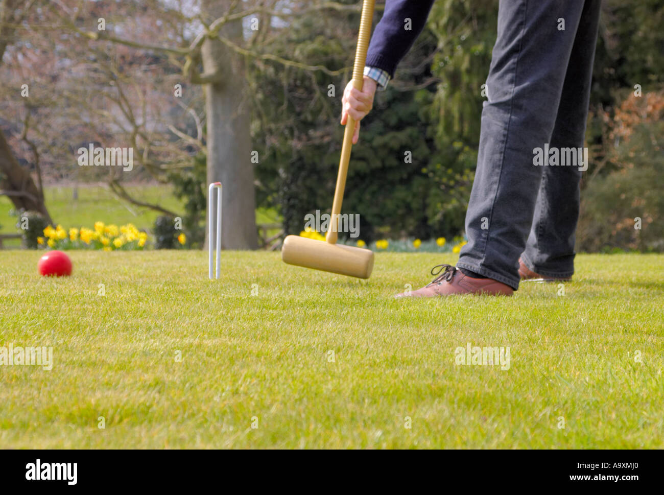 man striking croquet ball through hoop with mallet Stock Photo Alamy