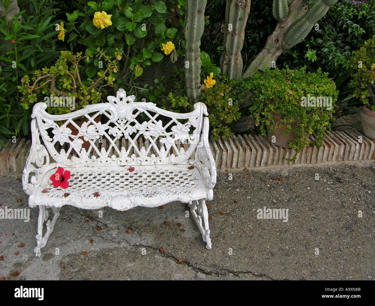 White Victorian Style Garden Bench with Flores Stock Photo - Alamy