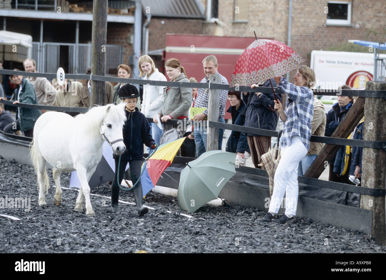 contest of calmness with Pony. Stock Photo