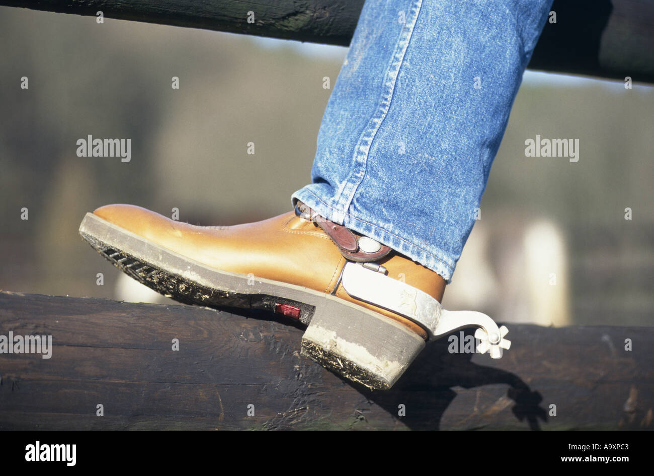 Boots with spurs hires stock photography and images Alamy