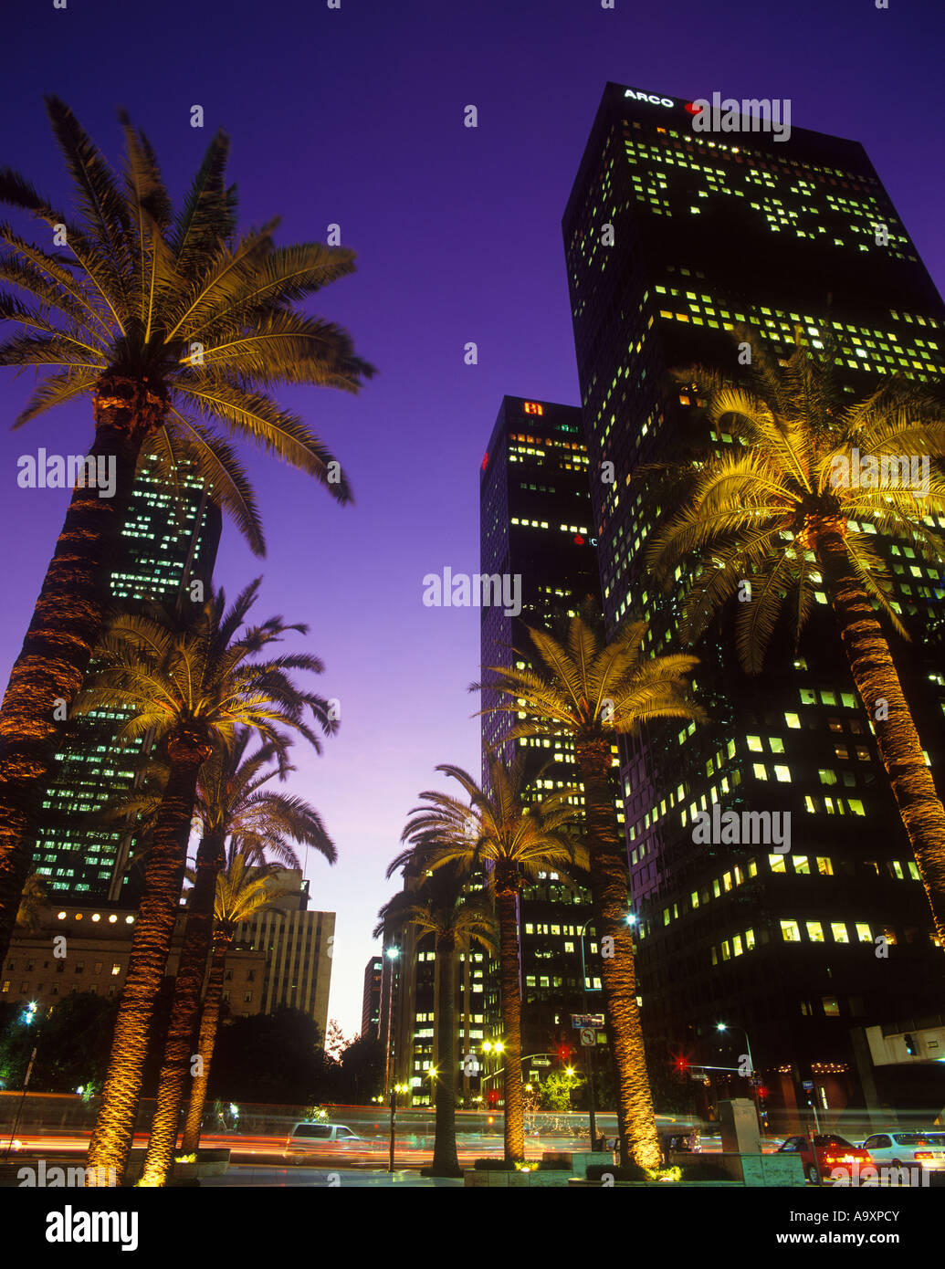PALM TREES SKYSCRAPERS FIGUEROA STREET DOWNTOWN LOS ANGELES CALIFORNIA