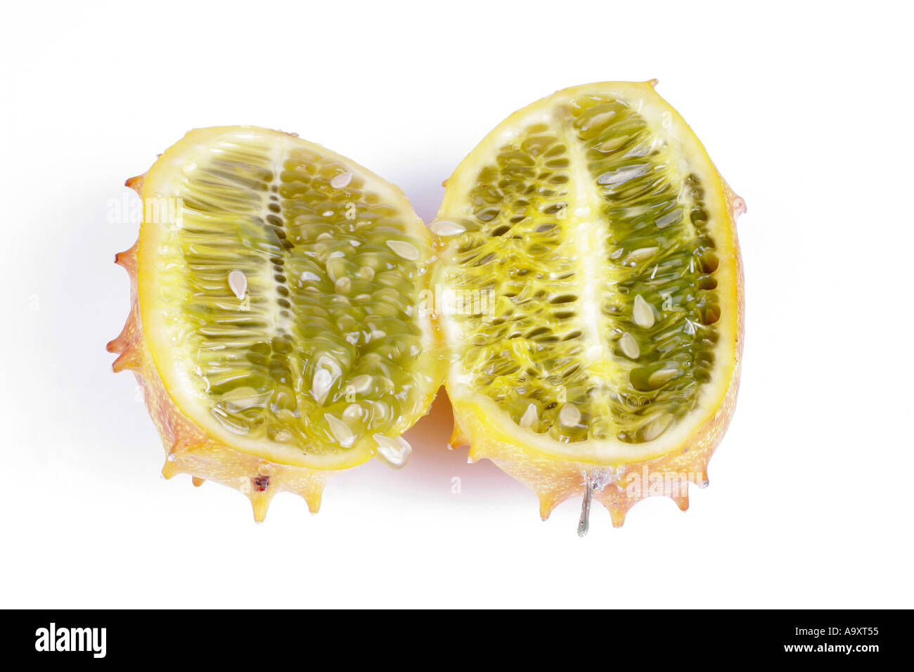 African cucumber, African horned cucumber, kiwano, horned melon, jelly