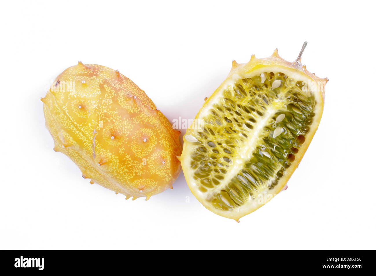 African cucumber, African horned cucumber, kiwano, horned melon, jelly