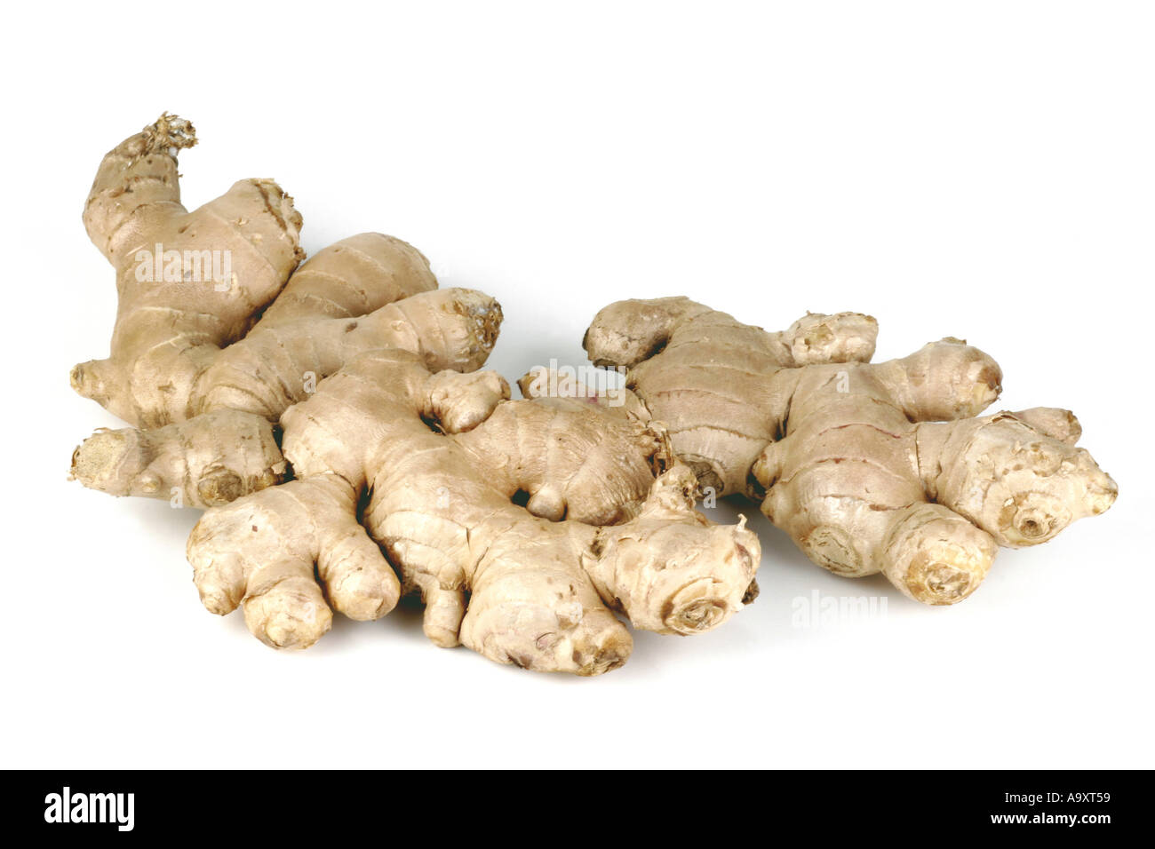 ginger, common ginger, cooking ginger, Canton ginger (Zingiber officinale), ginger knots. Stock Photo