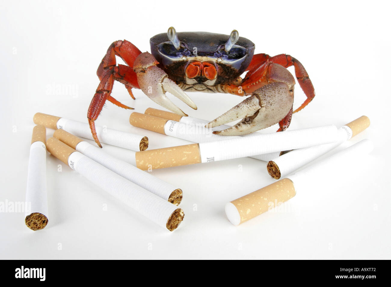 does coffee taste like cigarettes 
