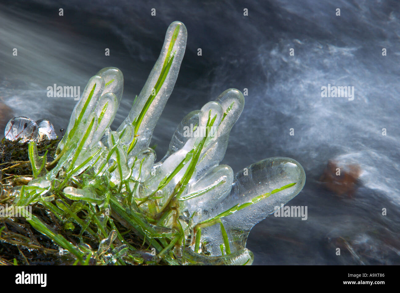 Grass blades water creek hi-res stock photography and images - Alamy