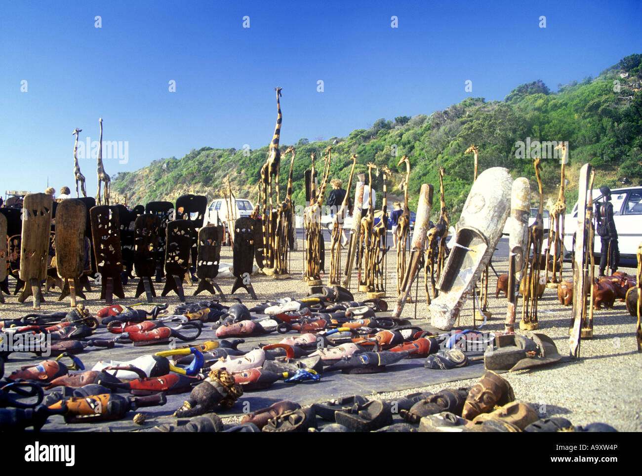South africa indigenous hi-res stock photography and images - Alamy