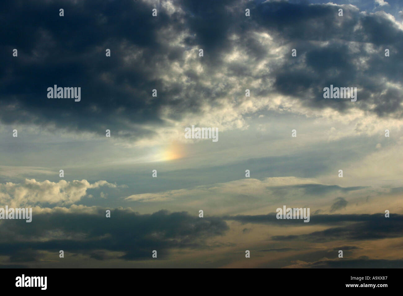 sundog, Germany, Baden-Wuerttemberg, Baden-Baden, 04. Stock Photo